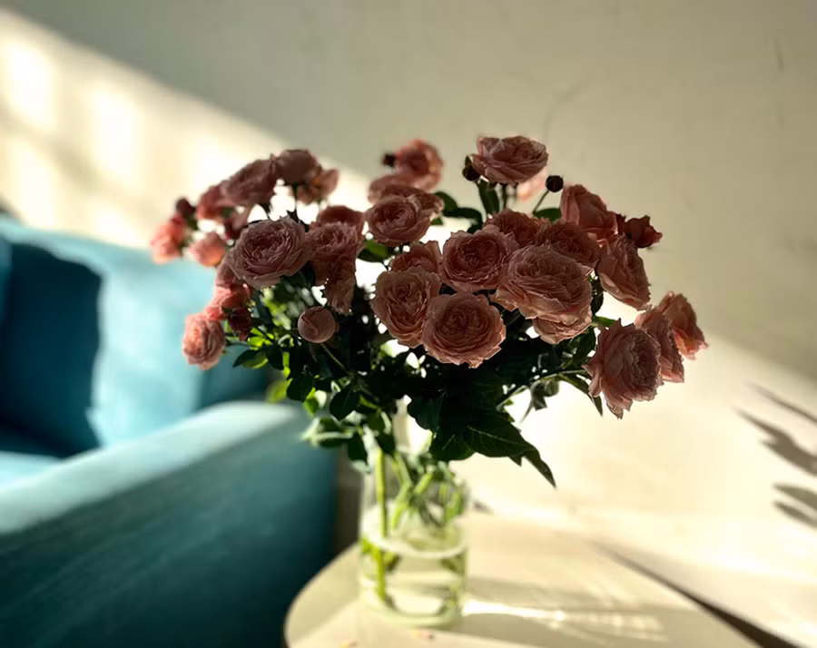 Ảnh minh họa: PHƯƠNG VI