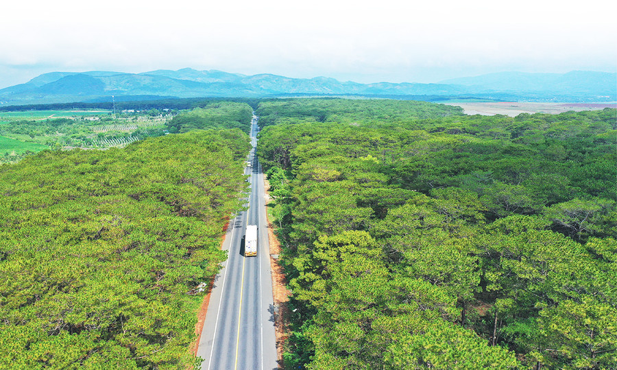 Quốc lộ 19-đoạn qua huyện Mang Yang. Ảnh: Huyền Tỷ Quốc lộ 19-đoạn qua huyện Mang Yang. Ảnh: Huyền Tỷ