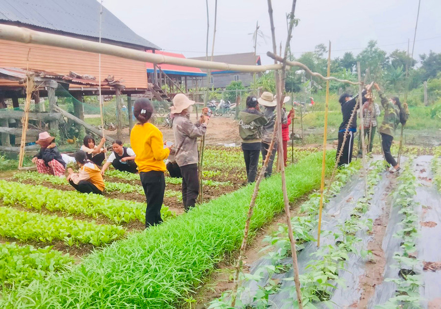Các thành viên Tổ hội nghề nghiệp trao đổi ngày công giúp đỡ nhau trong sản xuất. Ảnh: V.C Các thành viên Tổ hội nghề nghiệp trao đổi ngày công giúp đỡ nhau trong sản xuất. Ảnh: V.C