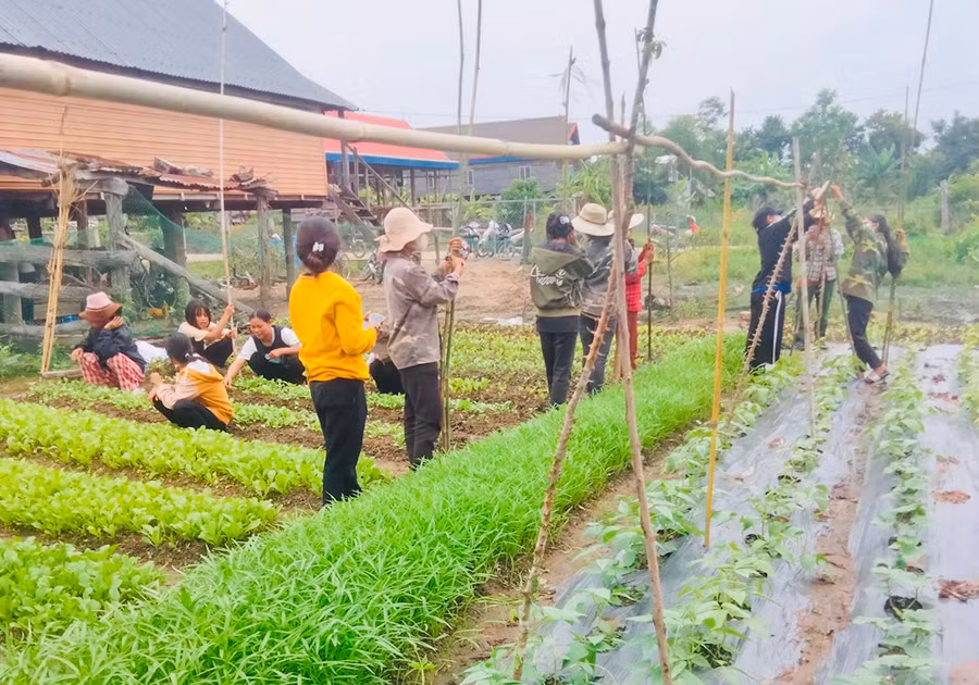 Các thành viên Tổ hội nghề nghiệp trao đổi ngày công giúp đỡ nhau trong sản xuất. Ảnh: V.C