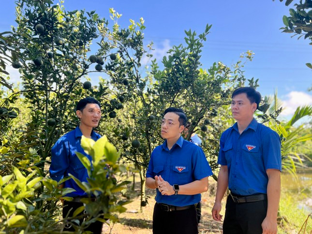 Mô hình trồng cây ăn quả xen canh của đoàn viên Huỳnh Thanh Duy (bên trái) là điển hình của thanh niên khởi nghiệp huyện Đăk Hà.