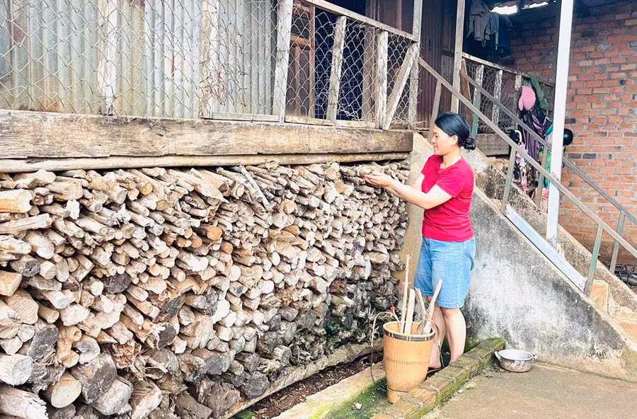 Với người Jrai, trữ củi không chỉ phục vụ sinh hoạt mà còn góp phần gìn giữ nét đẹp truyền thống của dân tộc. Ảnh: H.T
