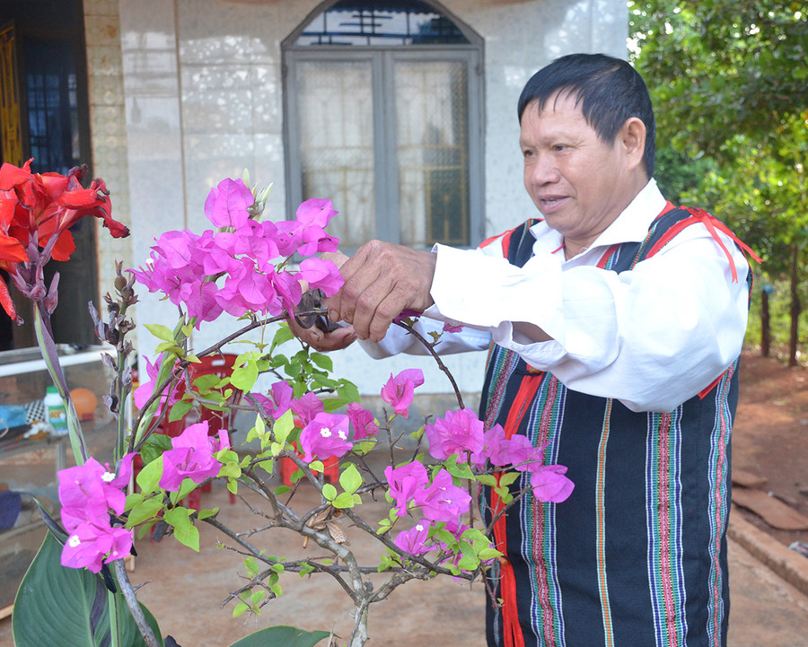 Già làng Siu Bình chăm sóc vườn hoa. Ảnh: Lê Anh Già làng Siu Bình chăm sóc vườn hoa. Ảnh: Lê Anh