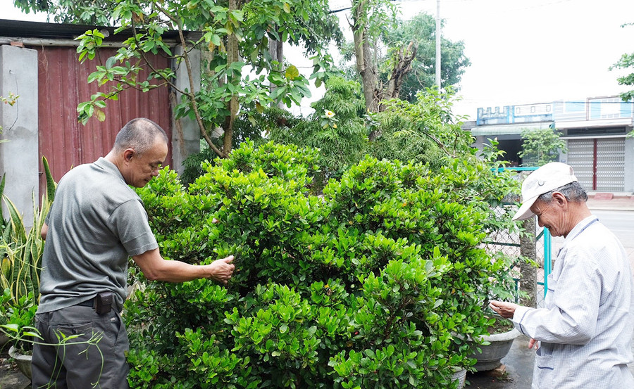 Người dân An Khê đến nhà ông Nguyễn Tấn Lợi xin quả thần kỳ. Ảnh: M.C Người dân An Khê đến nhà ông Nguyễn Tấn Lợi xin quả thần kỳ. Ảnh: M.C