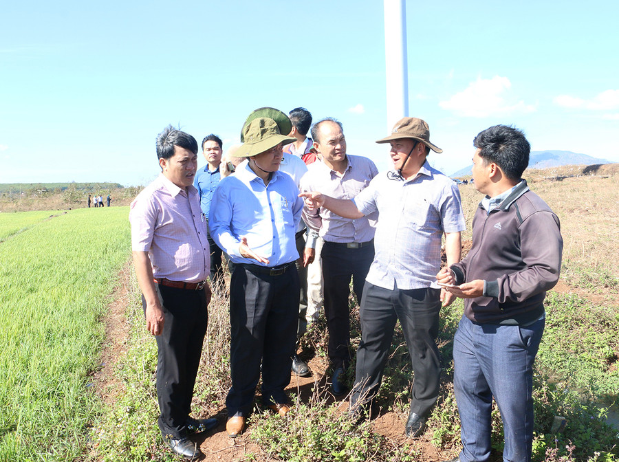 Phó Bí thư Tỉnh ủy Rah Lan Chung (thứ 2 từ phải sang) đi khảo sát thực tế tại cánh đồng Ia Chreh. Ảnh: Quang Tấn