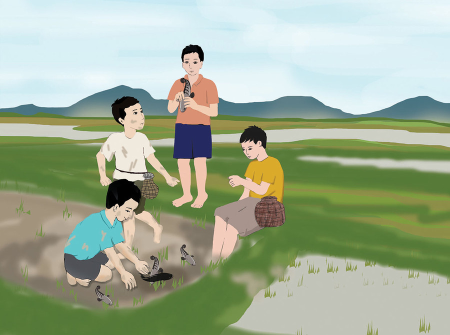 Minh họa: HUYỀN TRANG