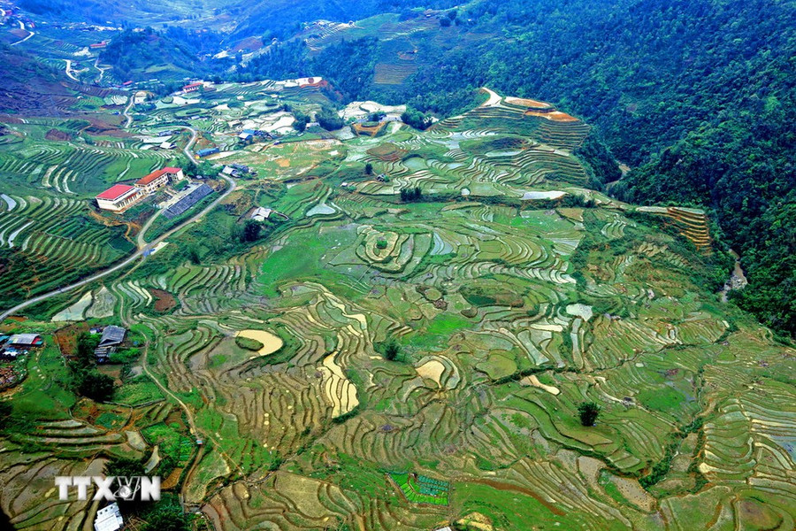 Những thửa ruộng bậc thang ở thung lũng Mường Hoa nhìn từ cabin cáp treo Fansipan. (Ảnh: Huy Hùng/TTXVN) Những thửa ruộng bậc thang ở thung lũng Mường Hoa nhìn từ cabin cáp treo Fansipan. (Ảnh: Huy Hùng/TTXVN)