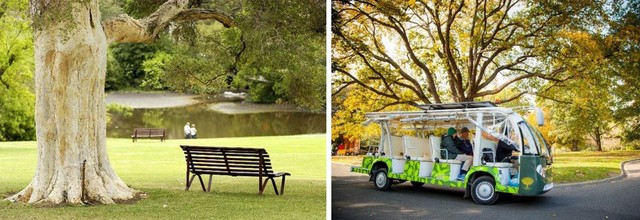 Vườn bách thảo tựa ốc đảo giữa lòng thành phố yên bình. Ảnh: Tripadvisor. Vườn bách thảo tựa ốc đảo giữa lòng thành phố yên bình. Ảnh: Tripadvisor.