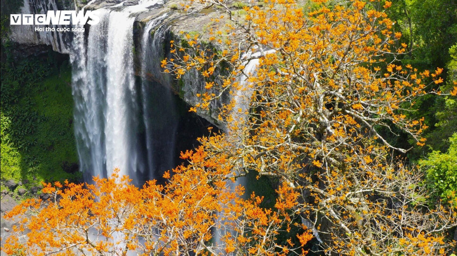 Lên đến đỉnh cao nhất, cả một cánh rừng nguyên sinh, với những cây cổ thụ cao ngút, lấp ló những đóa hoa nở rực rỡ. Lên đến đỉnh cao nhất, cả một cánh rừng nguyên sinh, với những cây cổ thụ cao ngút, lấp ló những đóa hoa nở rực rỡ.