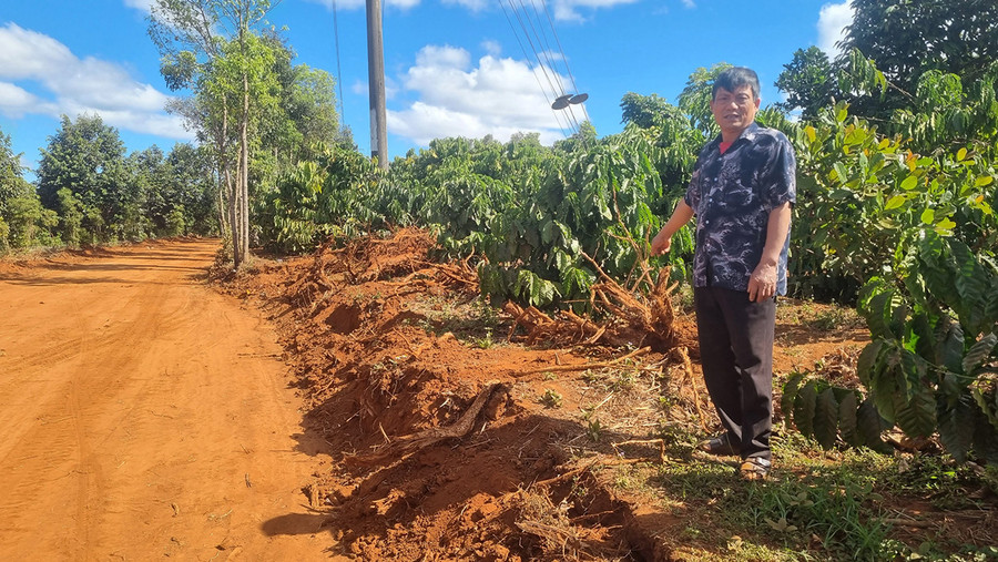 Gia đình ông Nguyễn Trọng Túc (làng O Pếch) hiến 320 m2 đất cùng nhiều cây cối, hoa màu để bàn giao mặt bằng thi công tuyến đường. Ảnh: H.P Gia đình ông Nguyễn Trọng Túc (làng O Pếch) hiến 320 m2 đất cùng nhiều cây cối, hoa màu để bàn giao mặt bằng thi công tuyến đường. Ảnh: H.P