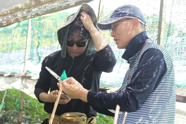 GS-TS Park Jeong-hill (phải) đến VN phối hợp với một số nhà khoa học nước ta trồng sâm VN. Ảnh: QUANG VIÊN GS-TS Park Jeong-hill (phải) đến VN phối hợp với một số nhà khoa học nước ta trồng sâm VN. Ảnh: QUANG VIÊN