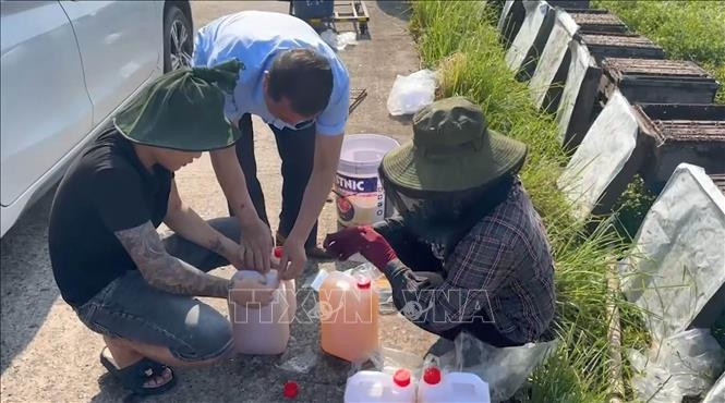 Mật ong sú vẹt được nhiều người dân ưa chuộng và tìm mua. Ảnh: Hải Yến/TTXVN