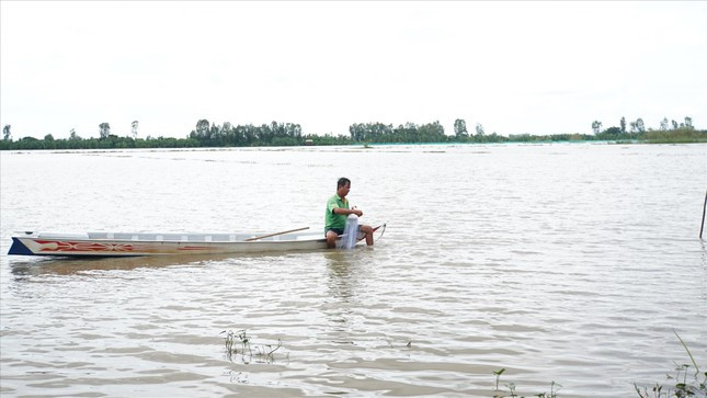 Người dân giăng lưới trên cánh đồng lũ huyện Tam Nông, tỉnh Đồng Tháp. Ảnh: HÒA HỘI Người dân giăng lưới trên cánh đồng lũ huyện Tam Nông, tỉnh Đồng Tháp. Ảnh: HÒA HỘI