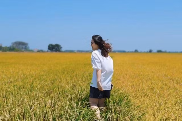 Không cần "outfit" quá cầu kỳ... chỉ cần thả mình tận hưởng mùi lúa chín, bạn cũng có thể có những bức ảnh đầy thơ như thế này.