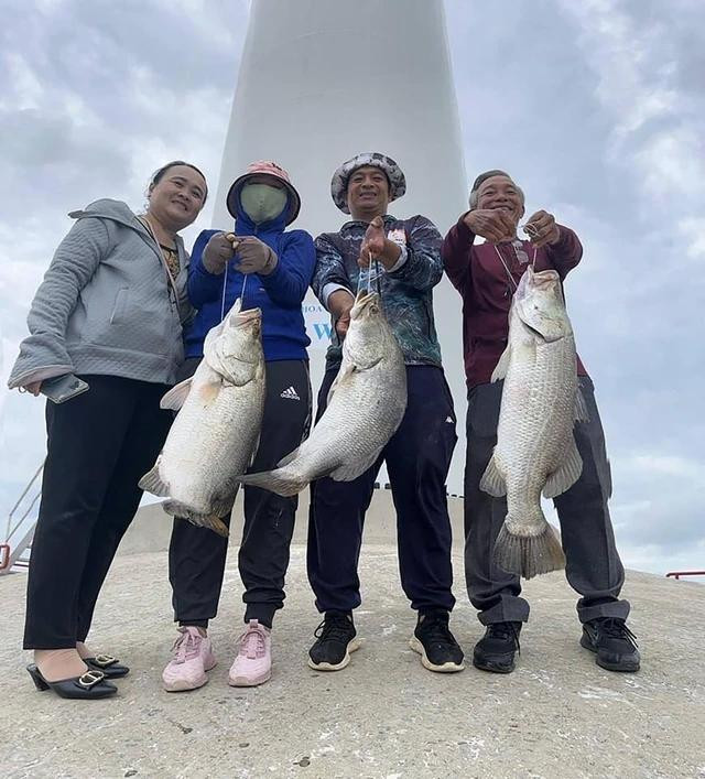 Du khách trải nghiệm câu cá dưới chân trụ điện gió. ẢNH: PHAN THANH CƯỜNG