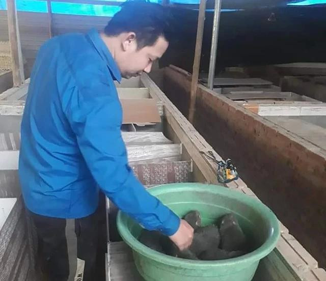 Về quê lập nghiệp, anh Thuật có thu nhập hàng chục triệu đồng/tháng nhờ nuôi dúi. Ảnh: NVCC Về quê lập nghiệp, anh Thuật có thu nhập hàng chục triệu đồng/tháng nhờ nuôi dúi. Ảnh: NVCC