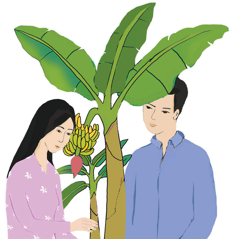 Minh họa: Huyền Trang Minh họa: Huyền Trang