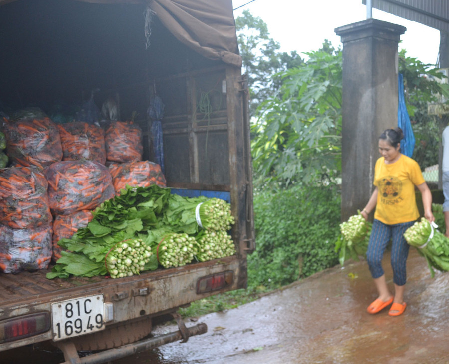 Gia đình chị Trần Thị Tuyết (thôn 5, xã Trà Đa, TP. Pleiku) vận chuyển rau củ đi bán. Ảnh: Hoàng Cư