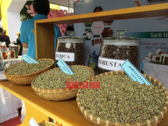 Cà phê Robusta đang thu hẹp khoảng cách với cà phê Arabica. Cà phê Robusta đang thu hẹp khoảng cách với cà phê Arabica.