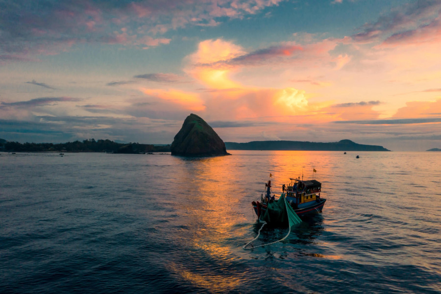 Ảnh: BÙI VĂN HẢI Ảnh: BÙI VĂN HẢI