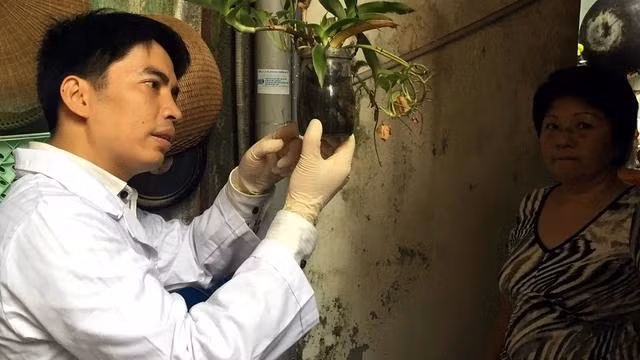 Muỗi truyền virus gây sốt xuất huyết thường đẻ trứng tại các dụng cụ chứa nước trong các gia đình. ẢNH: LIÊN CHÂU