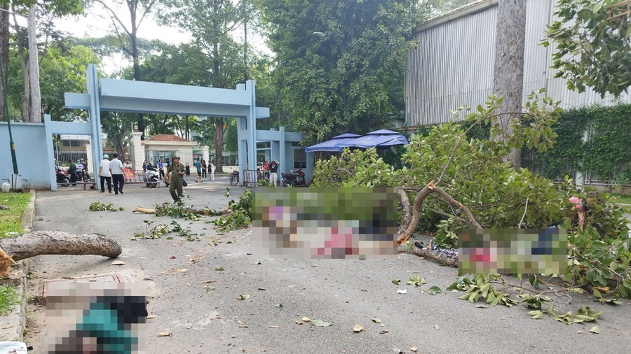 Hiện trường vụ việc Hiện trường vụ việc