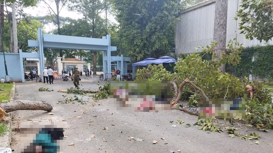 Hiện trường vụ việc