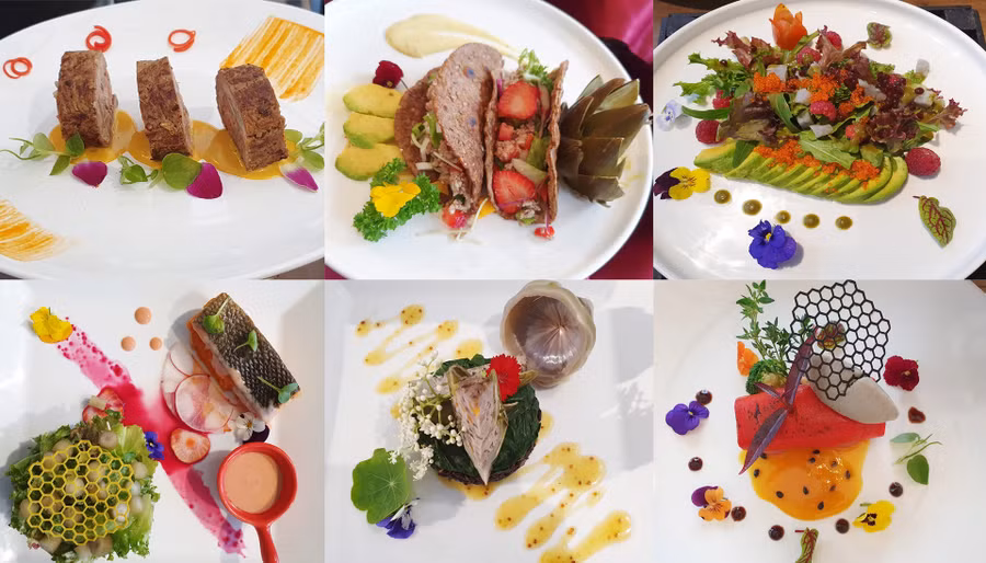 Nhiều món ăn như các tác phẩm nghệ thuật