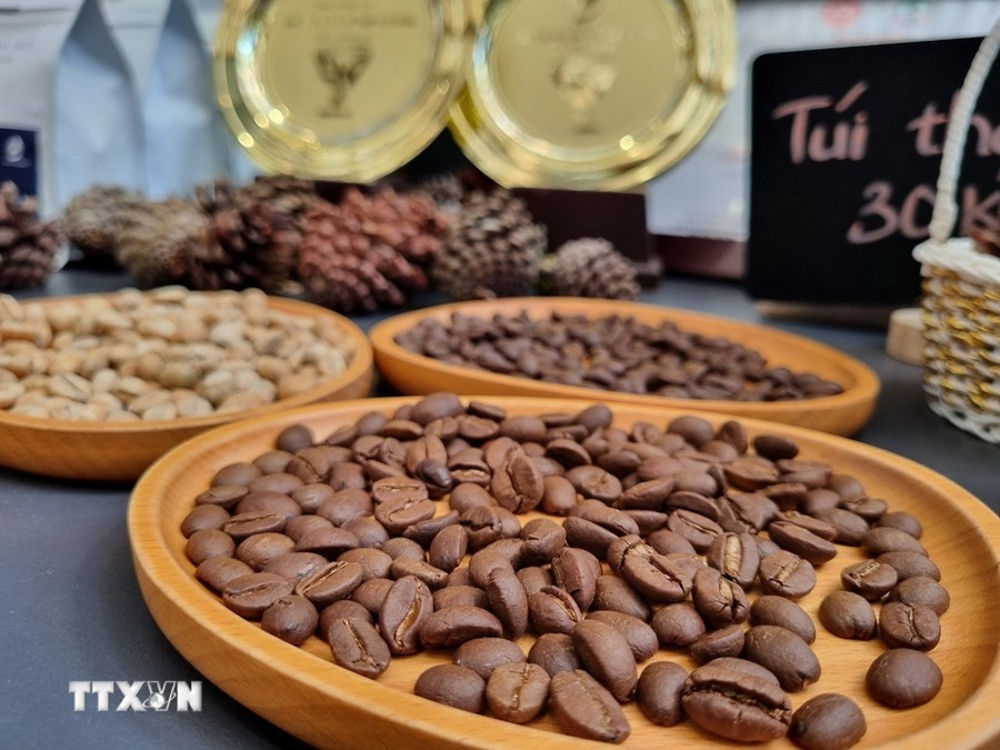 Càphê Việt Nam đang có cơ hội vào top 10 nước xuất khẩu càphê lớn nhất vào thị trường Canada. (Ảnh: Dư Toán/TTXVN) Càphê Việt Nam đang có cơ hội vào top 10 nước xuất khẩu càphê lớn nhất vào thị trường Canada. (Ảnh: Dư Toán/TTXVN)