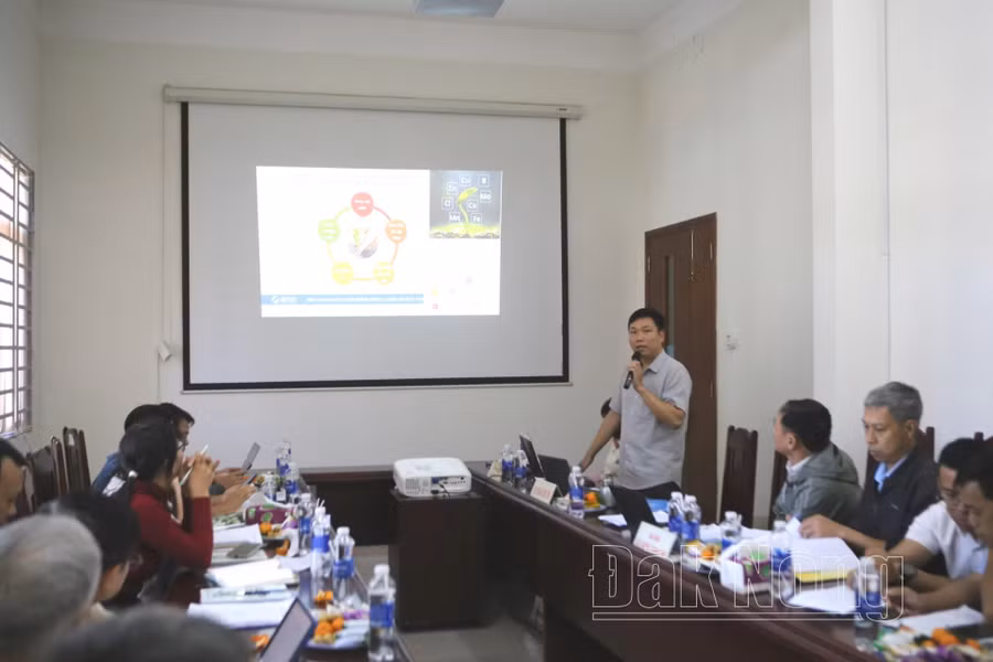 Đề tài đã xây dựng được quy trình phối trộn bộ phân bón lá nano gồm 4 loại để phun 7-8 lần cho cây bơ