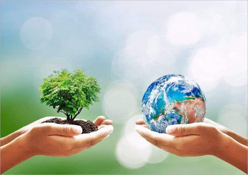 Chủ động phòng ngừa, kiểm soát được ô nhiễm và suy thoái môi trường (ảnh minh họa)