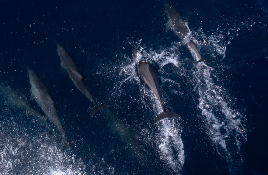 Sang phải, rồi sang trái, theo hướng đi của tàu. Ảnh: L.Q.P Sang phải, rồi sang trái, theo hướng đi của tàu. Ảnh: L.Q.P