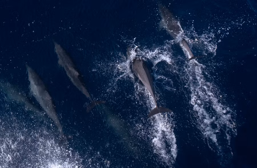 Sang phải, rồi sang trái, theo hướng đi của tàu. Ảnh: L.Q.P