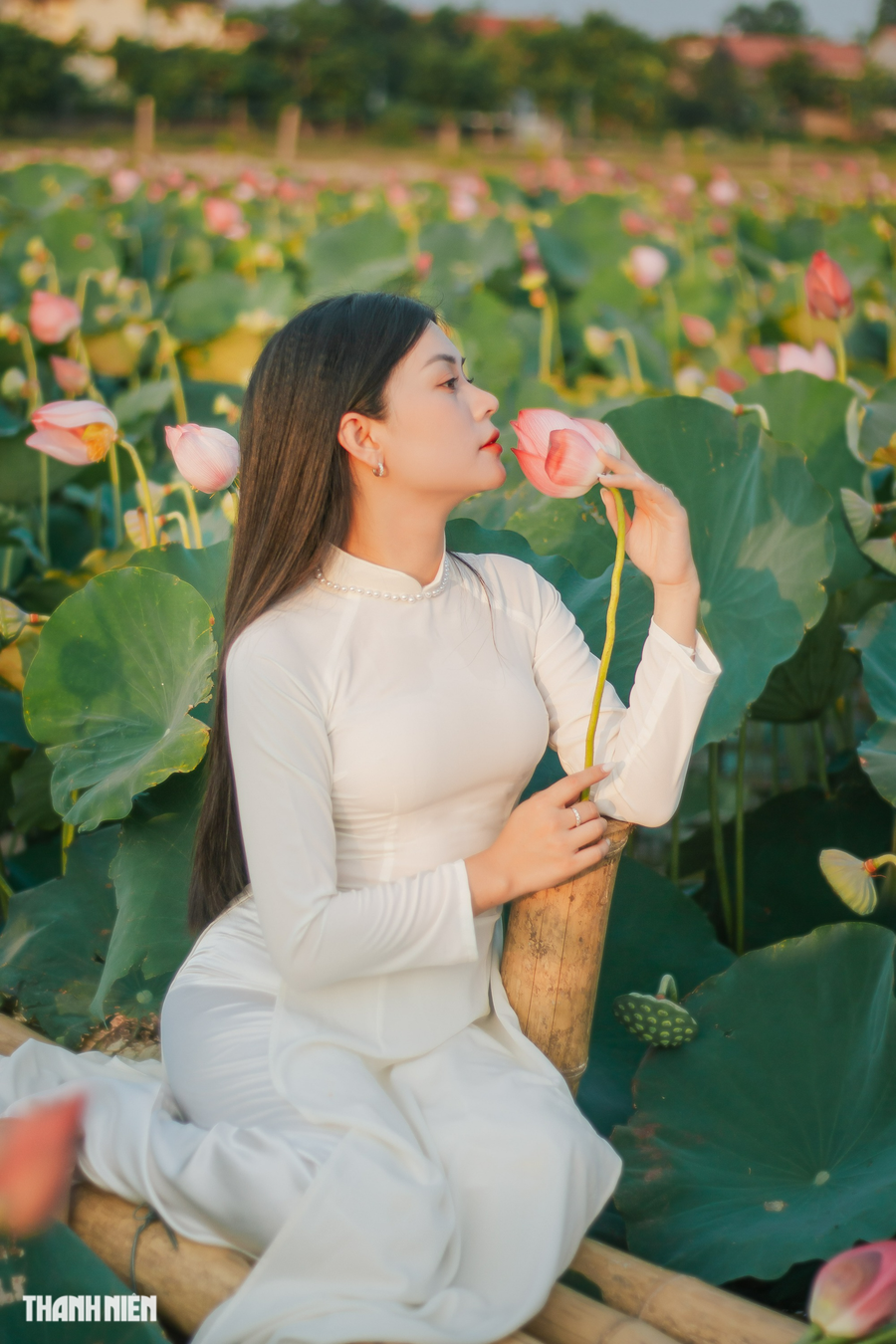 Chị Nhi cũng chọn đầm sen là nơi ghi lại những bức ảnh với tà áo dài truyền thống. Ảnh: Bá Cường Chị Nhi cũng chọn đầm sen là nơi ghi lại những bức ảnh với tà áo dài truyền thống. Ảnh: Bá Cường