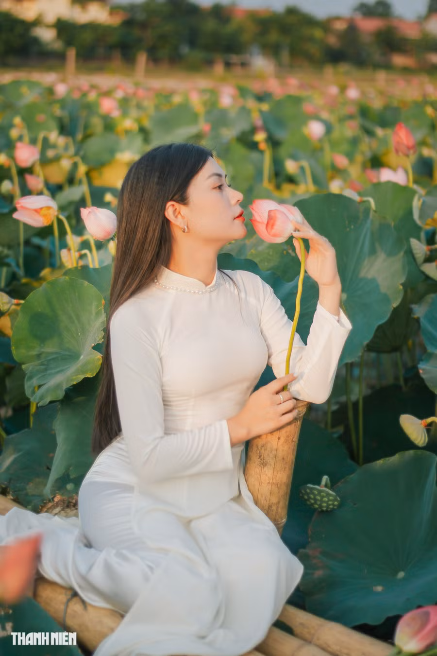 Chị Nhi cũng chọn đầm sen là nơi ghi lại những bức ảnh với tà áo dài truyền thống. Ảnh: Bá Cường