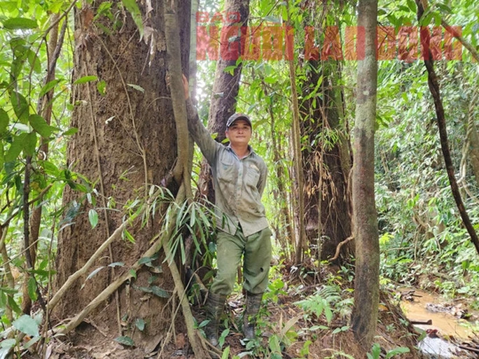 Khu vực xây dự kiến xây dựng nhà máy thủy điện Đắk R&apos;lấp 1 nằm trong vùng lõi của Rừng phòng hộ Nam Cát Tiên (tỉnh Đắk Nông)