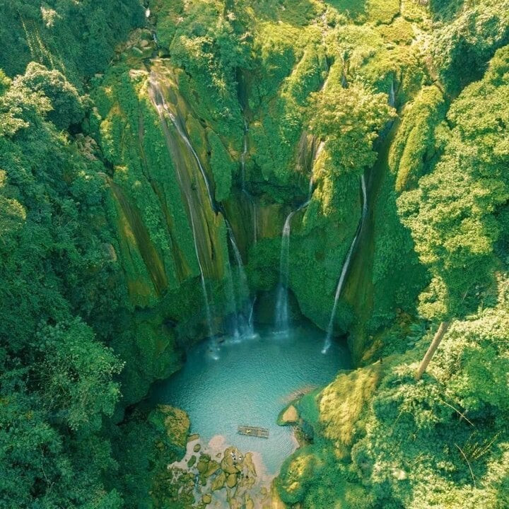 Ảnh: Ngựa hoang Ảnh: Ngựa hoang