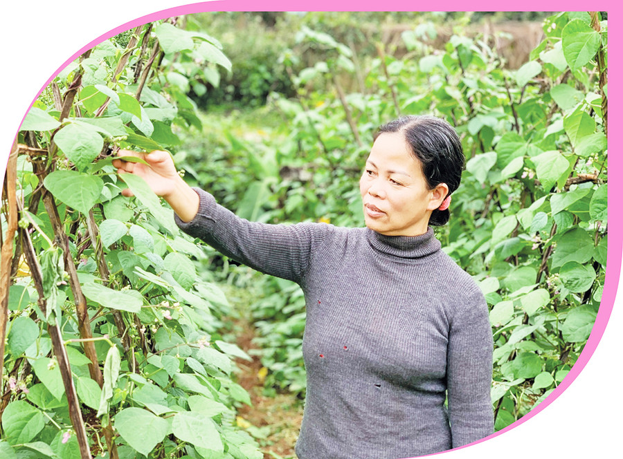 Bà Trần Thị Lanh chăm sóc vườn rau xanh của gia đình. Ảnh: A.H Bà Trần Thị Lanh chăm sóc vườn rau xanh của gia đình. Ảnh: A.H