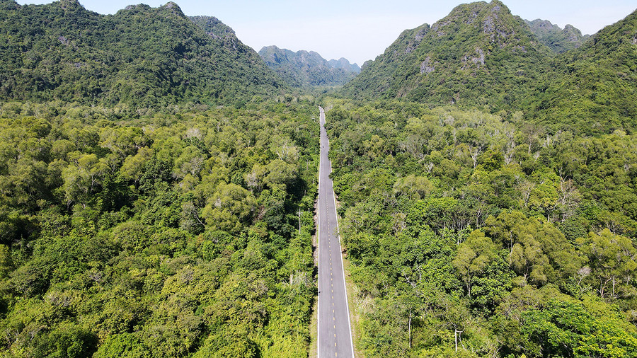 Nhìn từ trên cao, cung đường tựa như một sợi chỉ màu ghi, luồn qua thảm thực vật xanh ngút ngàn. Ảnh: GIANG LINH