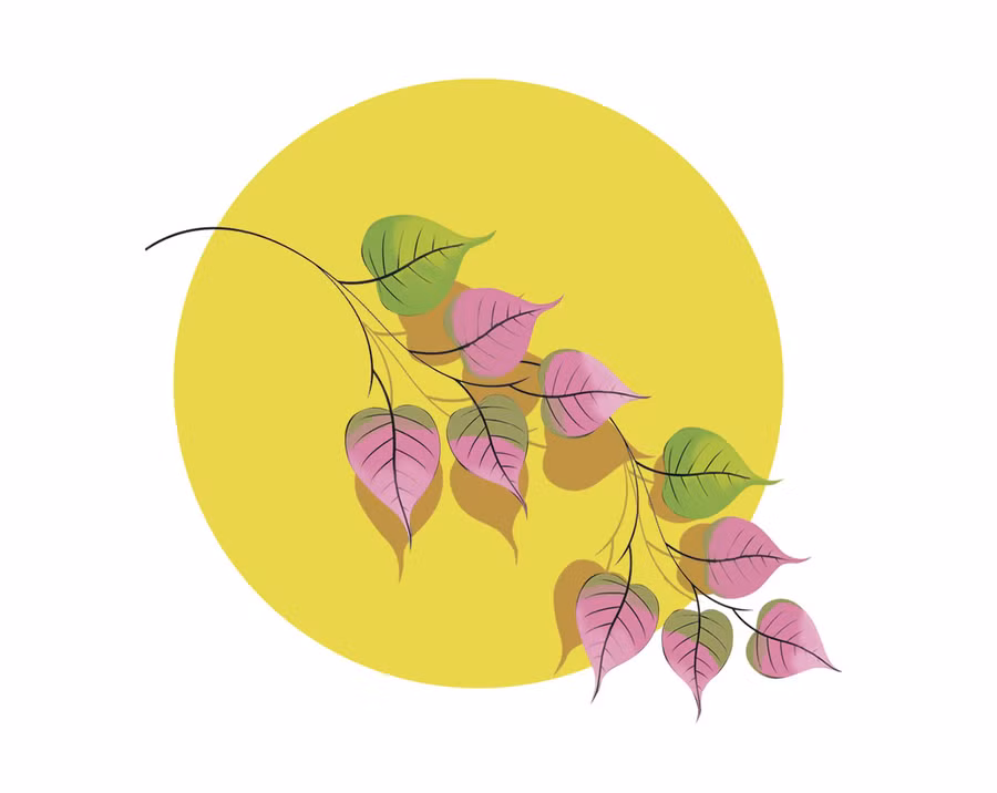 Minh họa: H.T Minh họa: H.T