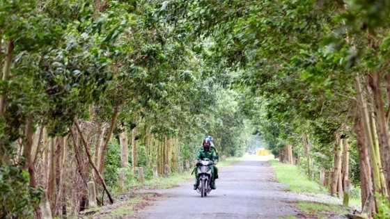 Trên đường tuần tra biên giới (thuộc địa bàn huyện Vĩnh Hưng, tỉnh Long An). Ảnh: DŨNG PHƯƠNG Trên đường tuần tra biên giới (thuộc địa bàn huyện Vĩnh Hưng, tỉnh Long An). Ảnh: DŨNG PHƯƠNG