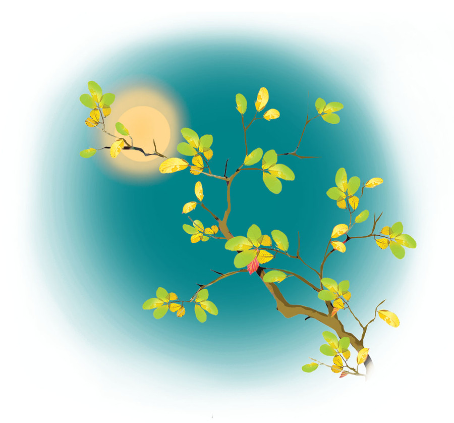 Minh họa: T.N Minh họa: T.N