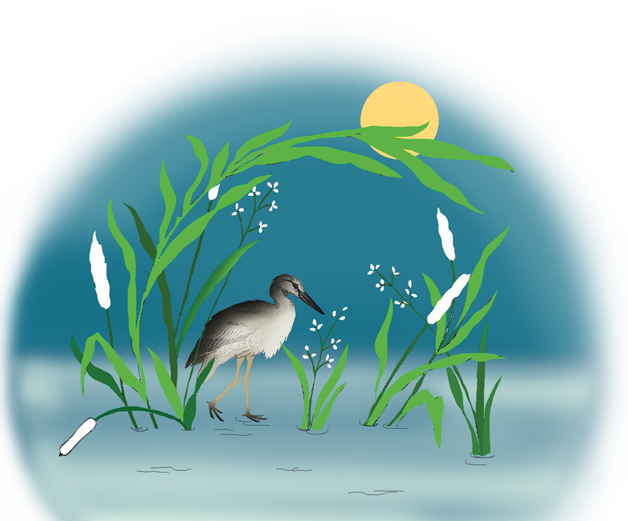 Minh họa: H.T Minh họa: H.T