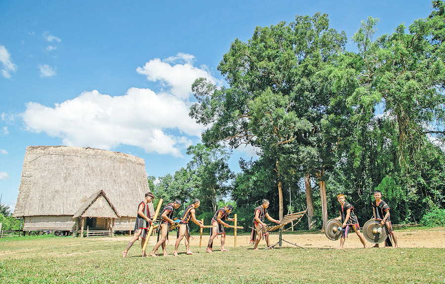 Cụm cây kơ nia ở khu vực nhà rông làng Kon Măh, xã Hà Tây, huyện Chư Păh. Ảnh: Nguyễn Linh Vinh Quốc Cụm cây kơ nia ở khu vực nhà rông làng Kon Măh, xã Hà Tây, huyện Chư Păh. Ảnh: Nguyễn Linh Vinh Quốc