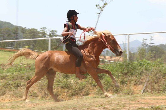 Nét độc đáo của giải đua là ngựa đều không lắp yên, tăng thêm độ khó cho các nài. Ảnh: ĐOÀN KIÊN