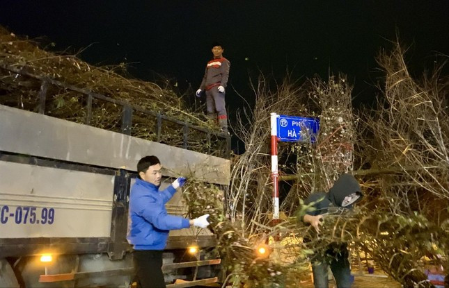 Tranh thủ vận chuyển, cắt tỉa vào đêm khuya Tranh thủ vận chuyển, cắt tỉa vào đêm khuya