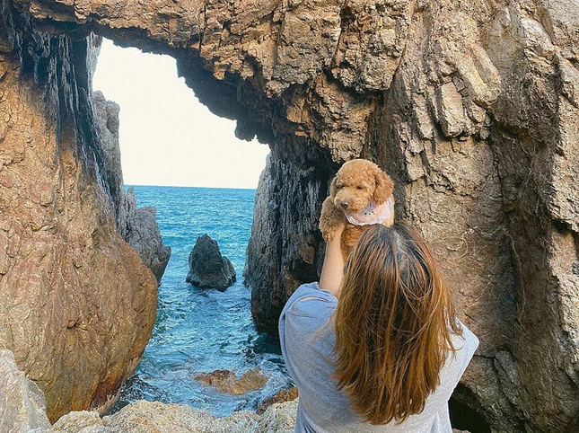 Nhiều du khách đến đây, đặc biệt là các bạn trẻ rất thích thú với background chụp hình độc lạ, đẹp mắt này. Du khách tha hồ tạo dáng, chụp hình, săn ảnh đẹp “triệu like”. Ảnh: luhanhvietnam. Nhiều du khách đến đây, đặc biệt là các bạn trẻ rất thích thú với background chụp hình độc lạ, đẹp mắt này. Du khách tha hồ tạo dáng, chụp hình, săn ảnh đẹp “triệu like”. Ảnh: luhanhvietnam.