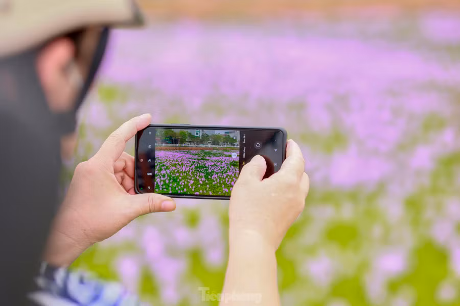 Cánh đồng tím tuyệt đẹp này đã thu hút rất đông người tìm đến dịp này. Vẻ đẹp của hoa bèo tây tuy dung dị nhưng đủ làm mê đắm lòng người như bao loài hoa đẹp khác.