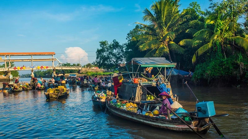 The Travel đánh giá Cần Thơ là một địa điểm tuyệt vời để khám phá vào mùa thu này. (Ảnh: Vietnamtravel) The Travel đánh giá Cần Thơ là một địa điểm tuyệt vời để khám phá vào mùa thu này. (Ảnh: Vietnamtravel)