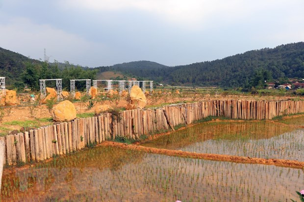 Huyện Kon Plông (tỉnh Kon Tum) xử phạt vi phạm đất đai. (Ảnh: Cao Nguyên/TTXVN)